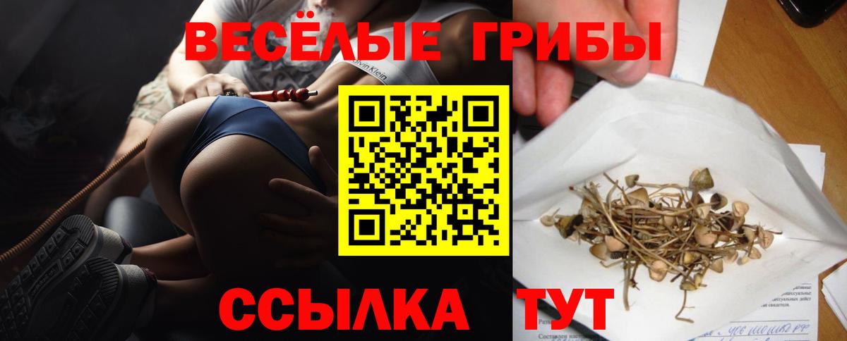 Псилоцибиновые грибы ЛСД Ачинск